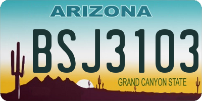 AZ license plate BSJ3103