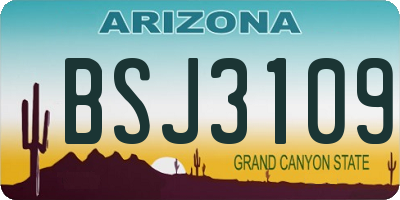 AZ license plate BSJ3109