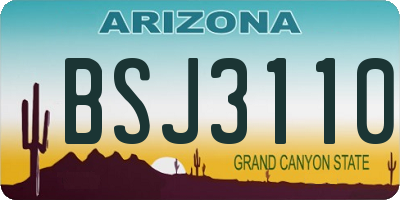 AZ license plate BSJ3110