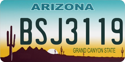 AZ license plate BSJ3119
