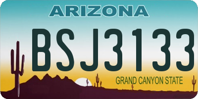 AZ license plate BSJ3133