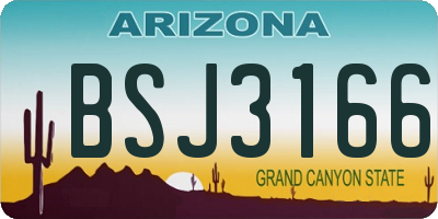 AZ license plate BSJ3166