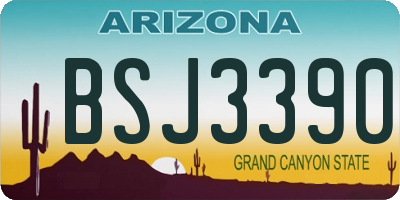 AZ license plate BSJ3390