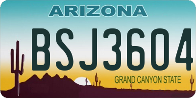 AZ license plate BSJ3604
