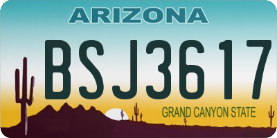 AZ license plate BSJ3617