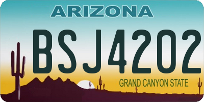 AZ license plate BSJ4202