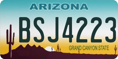 AZ license plate BSJ4223