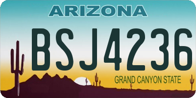 AZ license plate BSJ4236