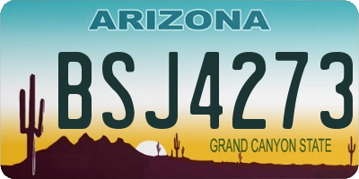 AZ license plate BSJ4273