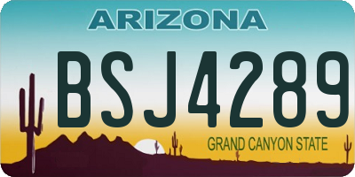 AZ license plate BSJ4289