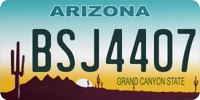 AZ license plate BSJ4407