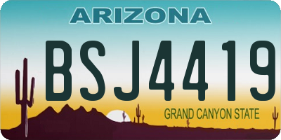 AZ license plate BSJ4419