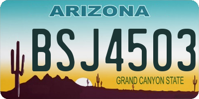 AZ license plate BSJ4503
