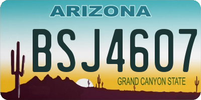 AZ license plate BSJ4607