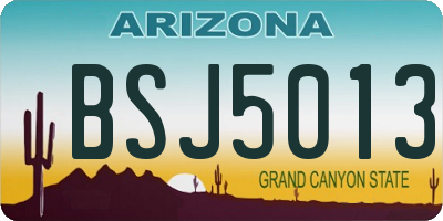 AZ license plate BSJ5013