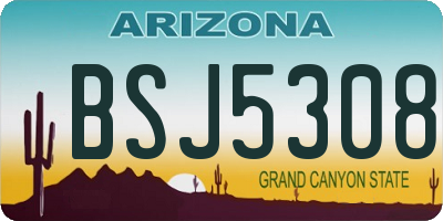 AZ license plate BSJ5308