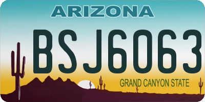 AZ license plate BSJ6063
