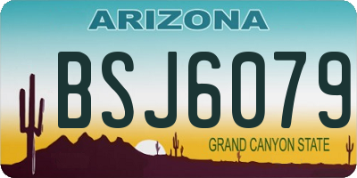 AZ license plate BSJ6079
