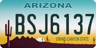 AZ license plate BSJ6137
