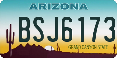 AZ license plate BSJ6173