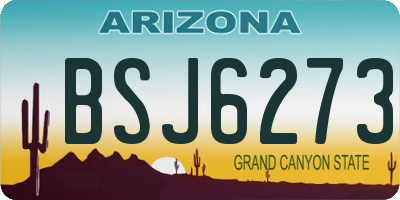 AZ license plate BSJ6273