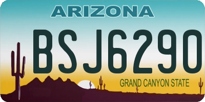 AZ license plate BSJ6290