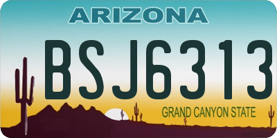 AZ license plate BSJ6313