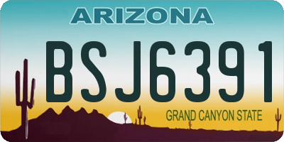 AZ license plate BSJ6391