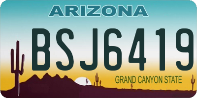 AZ license plate BSJ6419