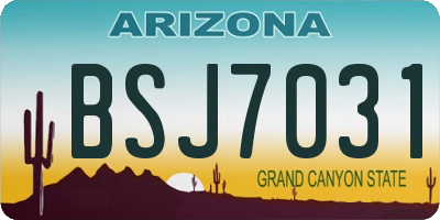AZ license plate BSJ7031