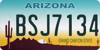 AZ license plate BSJ7134