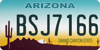 AZ license plate BSJ7166