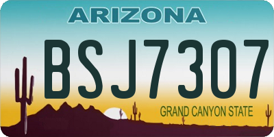 AZ license plate BSJ7307