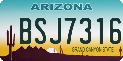AZ license plate BSJ7316
