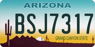 AZ license plate BSJ7317