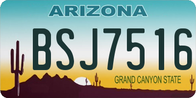 AZ license plate BSJ7516