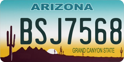 AZ license plate BSJ7568