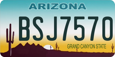 AZ license plate BSJ7570