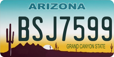 AZ license plate BSJ7599