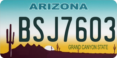 AZ license plate BSJ7603