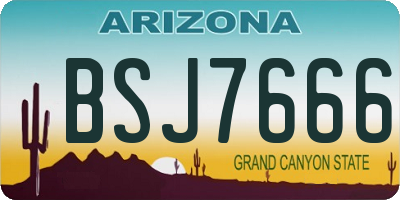 AZ license plate BSJ7666