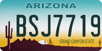 AZ license plate BSJ7719