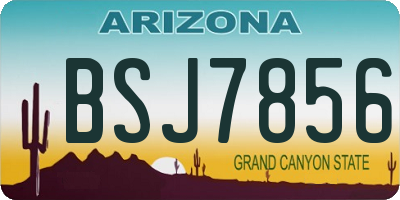 AZ license plate BSJ7856