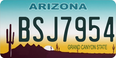 AZ license plate BSJ7954