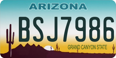 AZ license plate BSJ7986