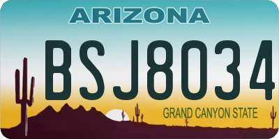 AZ license plate BSJ8034