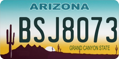 AZ license plate BSJ8073