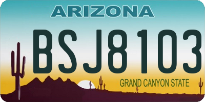 AZ license plate BSJ8103