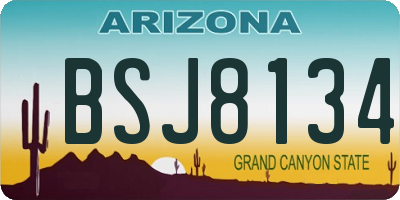 AZ license plate BSJ8134