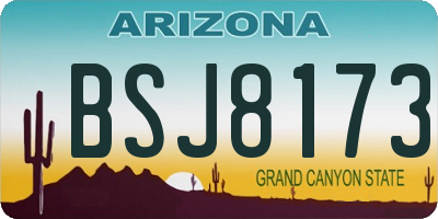 AZ license plate BSJ8173